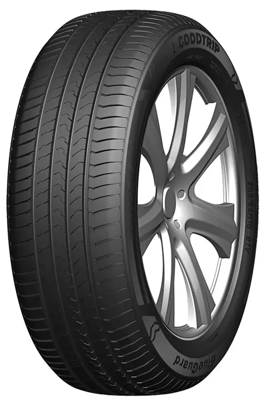 Goodtrip BlueGuard 205/55 R16 91W Rabatt