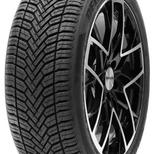 Nur Für Kurze Zeit Delinte AW6 195/50 R15 82V