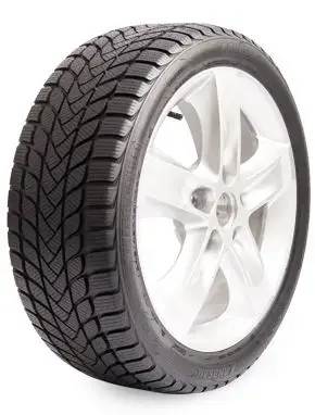 Direktkauf Landsail Winter Lander 205/50 R17 93H
