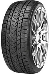 Jetzt Kaufen Gripmax Pro Winter 205/55 R17 95V XL