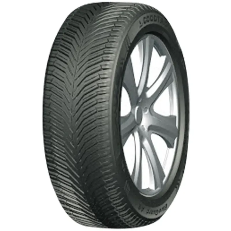 Expressversand GOODTRIP BLUEGUARD AS 225/65R17 106V XL BSW