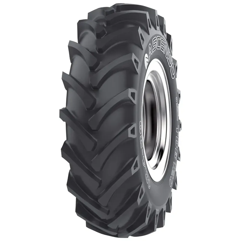 ASCENSO 9.5 - 20 TT 99A8 TDB 120 R-1 6PR Neu