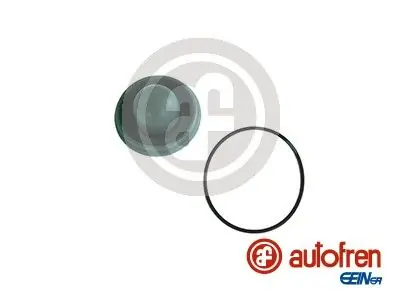 AUTOFREN SEINSA Reparatursatz, Hauptbremszylinder (D1286) KFZ-7063860 Neue Kollektion
