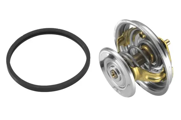 BorgWarner (Wahler) Thermostat, Kühlmittel (4122.87D) KFZ-6995211 Nur Heute