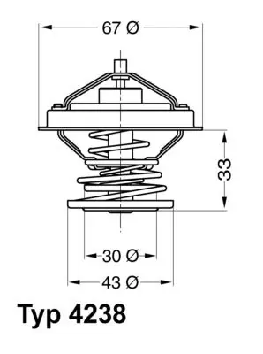 Jetzt Bestellen BorgWarner (Wahler) Thermostat, Kühlmittel (4238.92D) KFZ-6995214