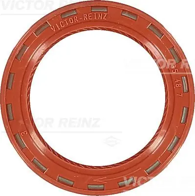 Nur Heute VICTOR REINZ Wellendichtring, Nockenwelle (81-24909-10) KFZ-6995693