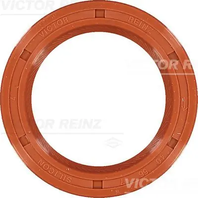 Beliebt VICTOR REINZ Wellendichtring, Nockenwelle (81-35514-00) KFZ-6995868