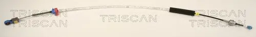 TRISCAN Seilzug, Automatikgetriebe (8140 28701) KFZ-6999024 Echt